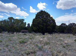 15 Hampton Run, Mosca, CO 81146