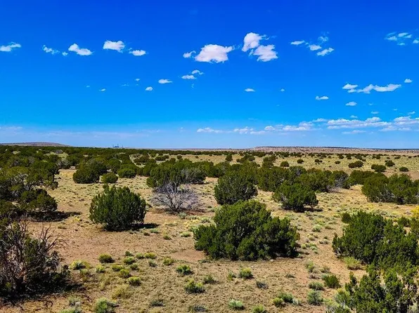 TBD N6655 40.49 Acres -- #-, St Johns, AZ 85936