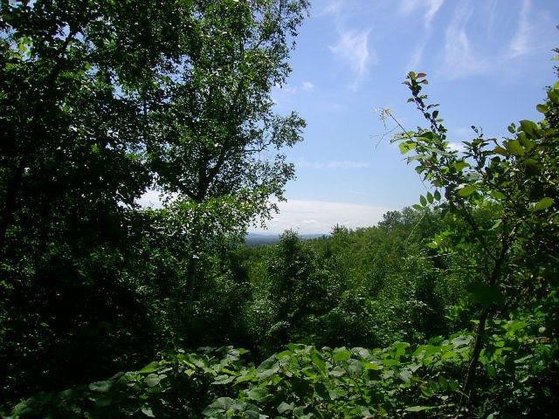 5th image of 519 WILTON GREENFIELD Road