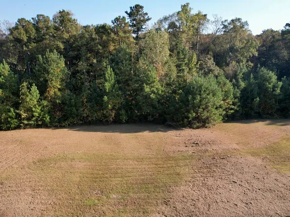 202 Cypressglade Ln, Midland City, AL 36350