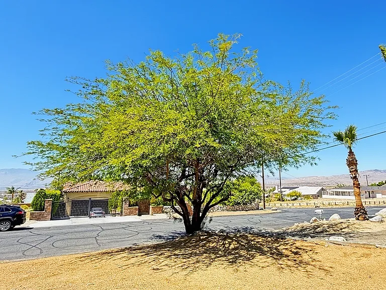 66820 Yucca Dr — Photo 14