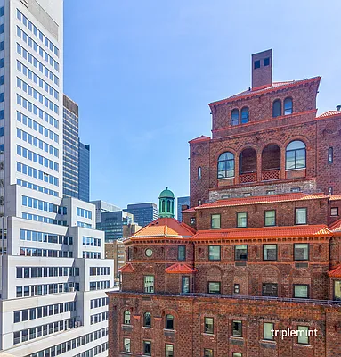 Rented by Triplemint | media 15