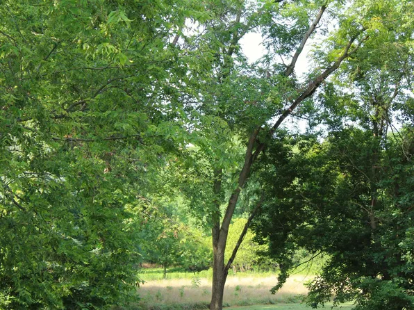 784 S Broadway St, Bloomingdale, IN 47832