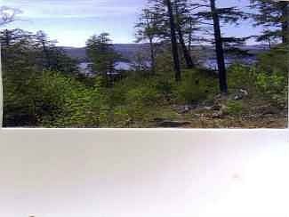 4th image of 00 Glenburnie Road