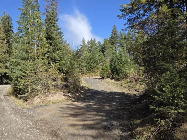 20866 N Mount Carlton Rd, Mead, WA 99021