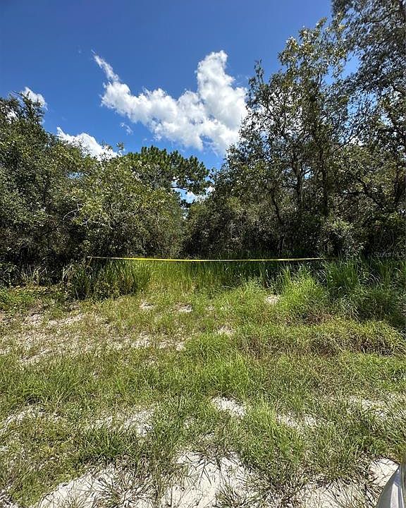 1st image of 2437 Sand Pine Trl #223