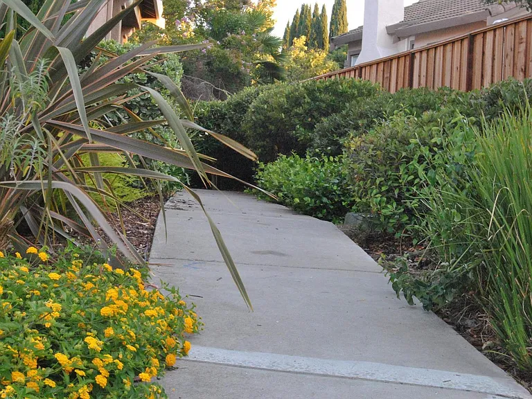 3509 Jasmine Cir — Photo 15