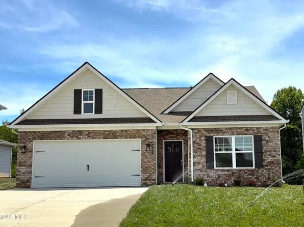 257 Chimney View Loop, Blountville, TN 37617