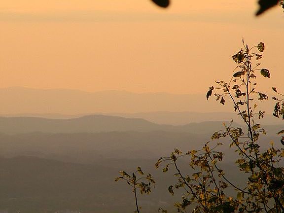 View from Cabin Driveway