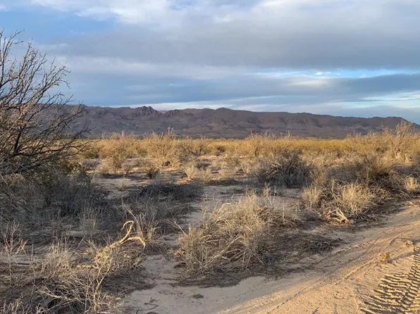 101 Redfo Rd, Terlingua, TX 79852