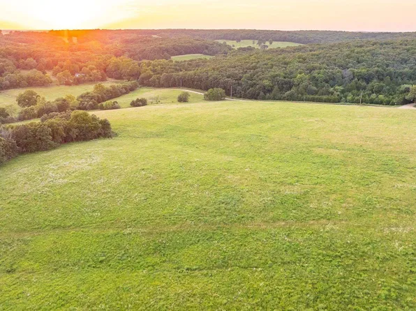 0 County Road 40 Rd, Cross Timbers, MO 65634