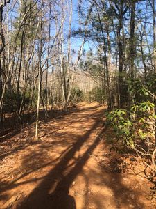 0 Chestnut Grove Rd, Lambsburg, VA, 24351