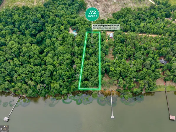 473 Vining Branch Rd, Georgetown, GA 39854