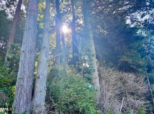 15301 Forest View Rd, Manchester, CA 95459