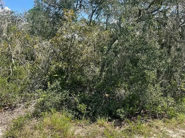 Deer Rd Lot 117, Frostproof, FL 33843