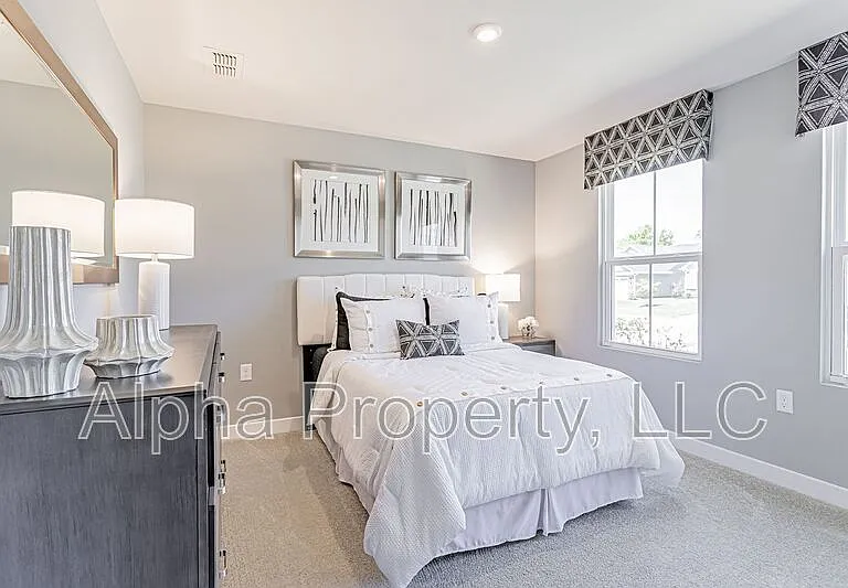 505 Olivia Springs Dr — Photo 6