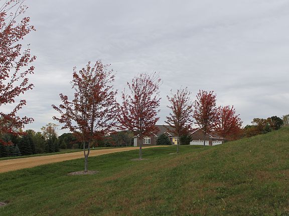 Tree lined driveway