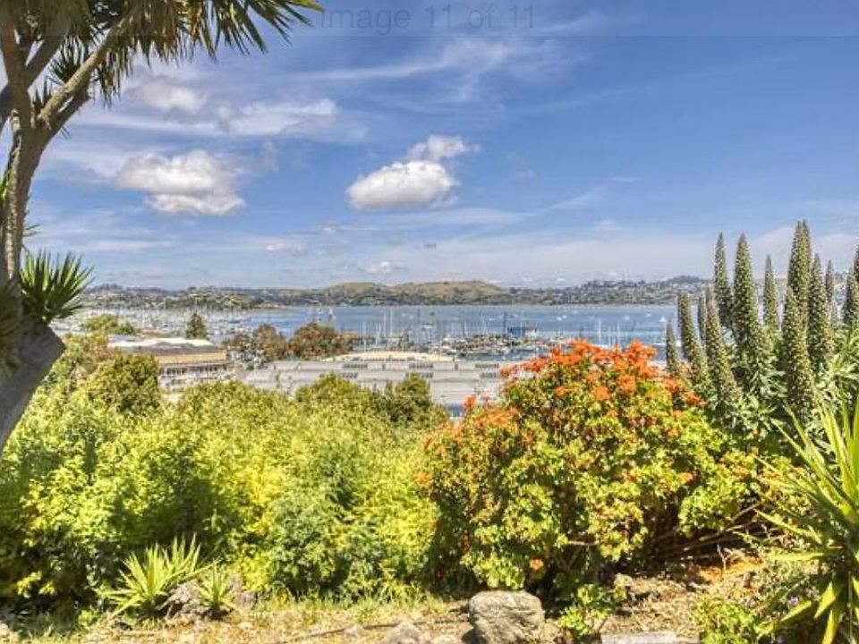 View from bedroom across gravel driveway.
