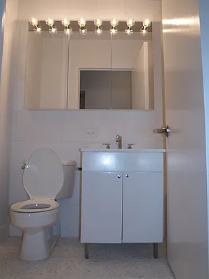 Rented by NY Living Solutions | media 35