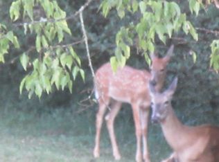 7085 Florence Rd, Smyrna, TN 37167