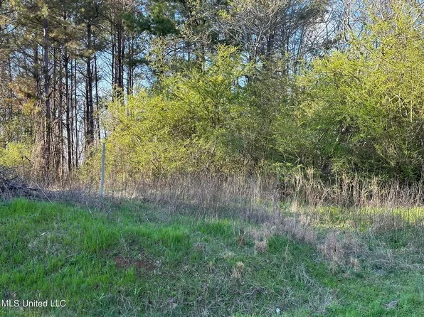 Stratton Rd, Union, MS 39365