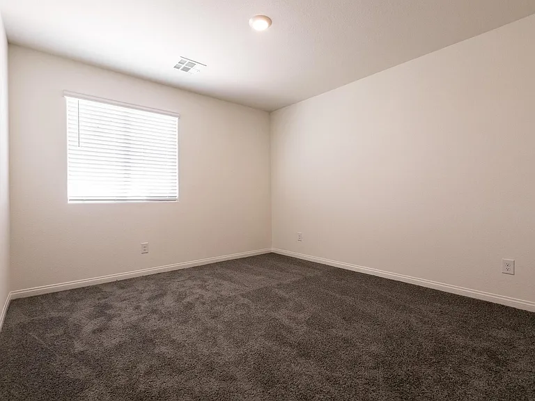 10041 Cobalt Cliffs St — Photo 20