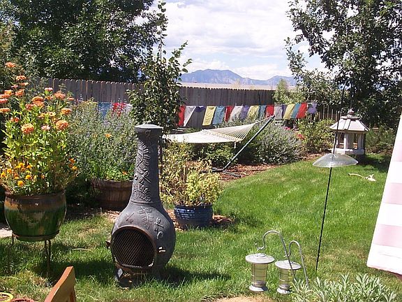 backyard - summer
