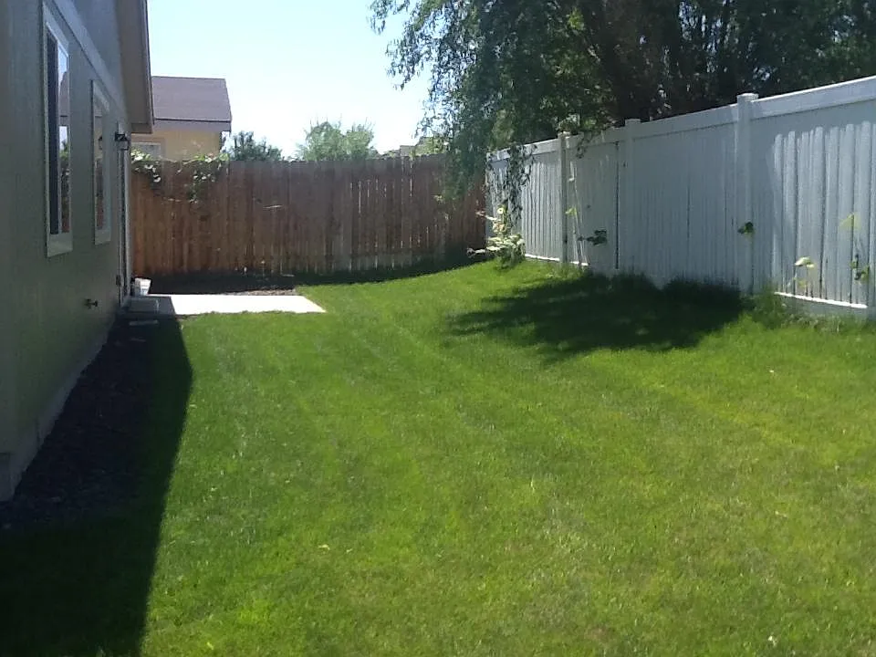 3 bed, 1323 sqft, $2,200 — Photo 3
