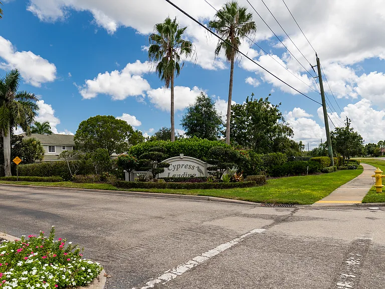 10061 Lone Cypress St — Photo 27