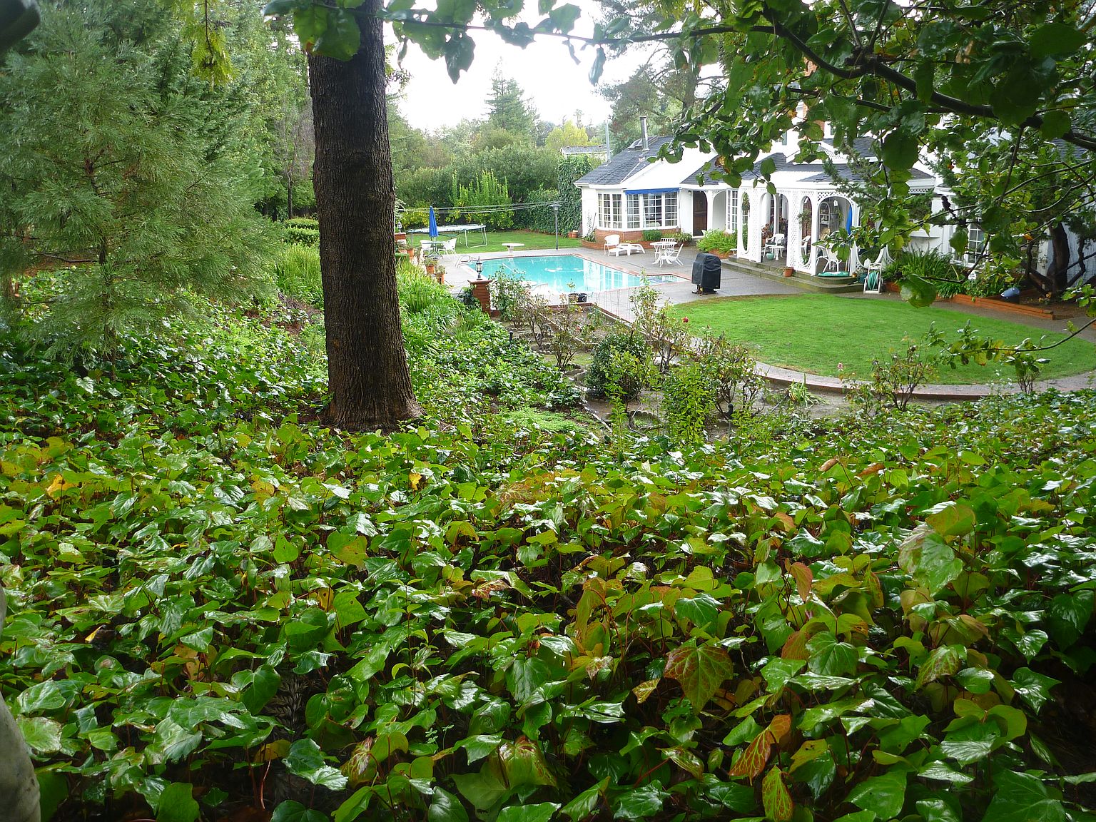 15212 Janor Ct, Monte Sereno, CA 95030 Zillow