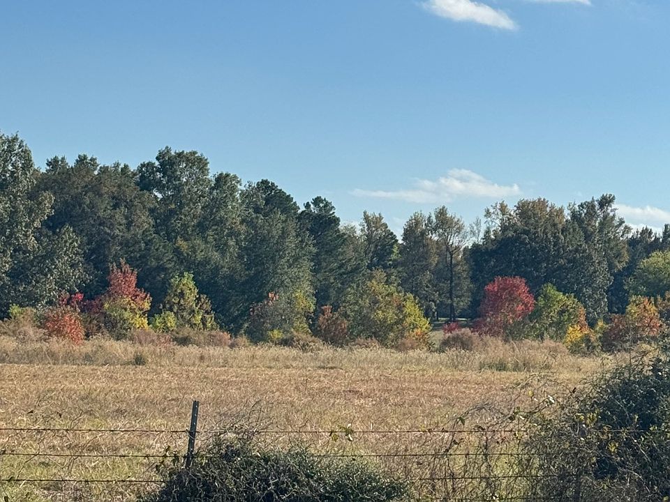 2nd image of 0 Highway 191 S