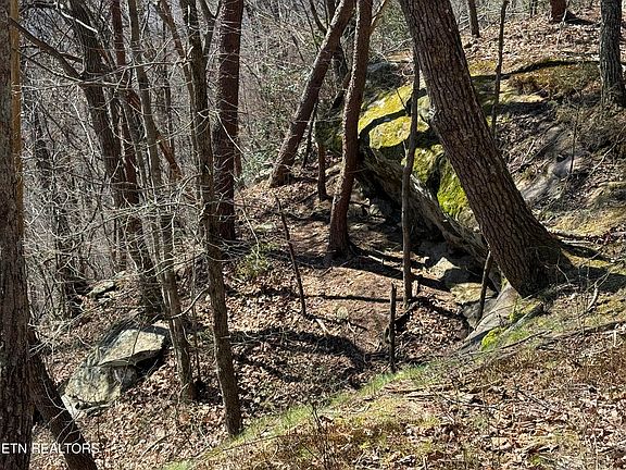 3rd image of Cumberland Cove Rd