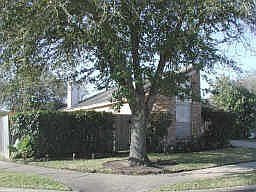 2nd image of 8503 Fawn Terrace Dr