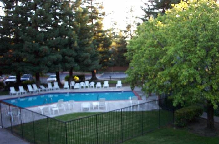 Pool and Redwoods