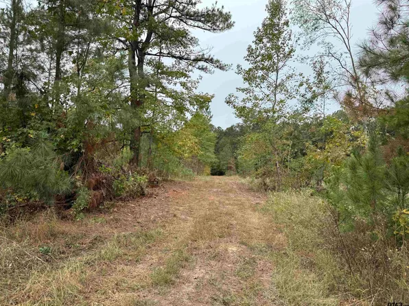 County Road 314, Henderson, TX 75654