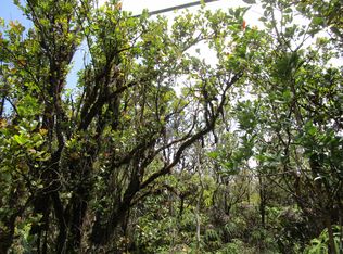 Palainui Ave, Mountain View, HI 96771