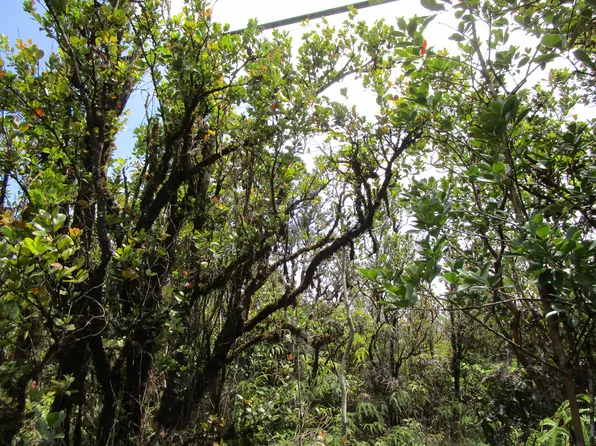 Palainui Ave Lot 15, Mountain View, HI 96771