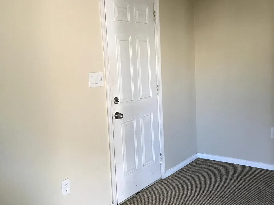 New Carpet!!
