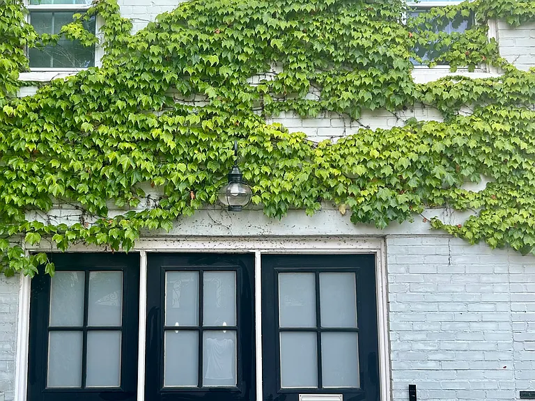 3314 P St NW #REAR — Photo 7