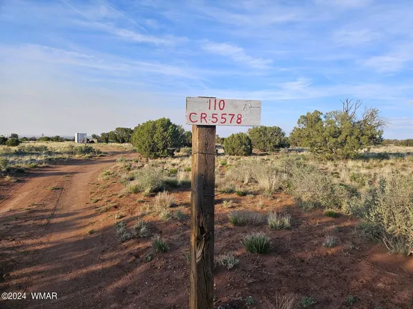 110 N County Rd #5578, Concho, AZ 85924