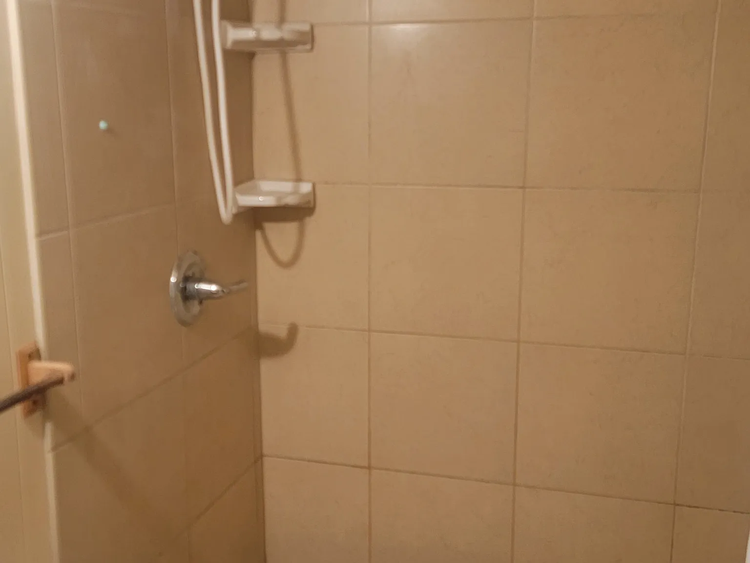 5 bed, 1985 sqft, $4,250 — Photo 3