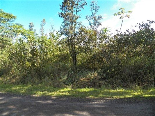4th image of 13th Ave Lot 1238