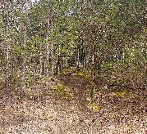 3rd image of 0 Taylor Hill Rd Lot 3