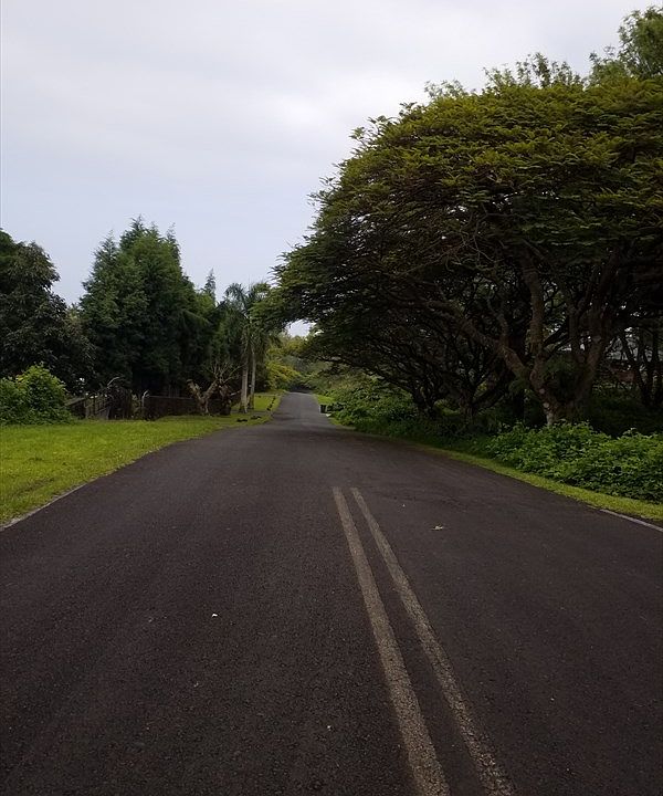 2nd image of B Rd