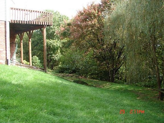 Rear Yard View