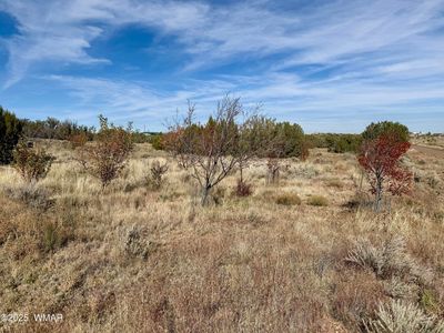 3920 S Freeman Hollow Rd, Snowflake, AZ, 85937