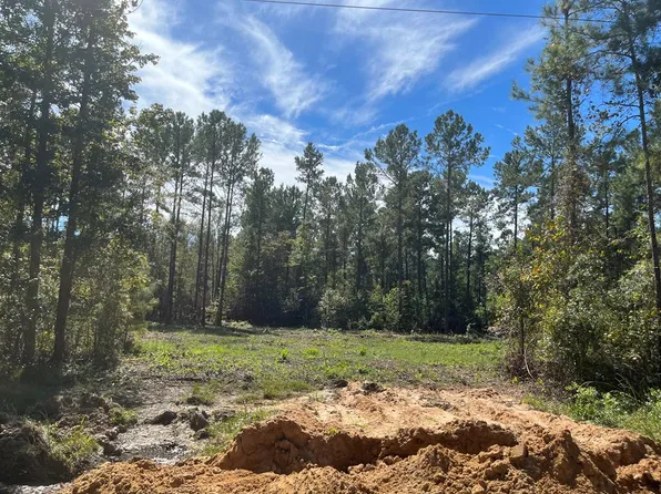 17 Pate Rogers Rd, Fleming, GA 31309