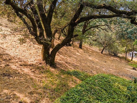 2nd image of 4046 Bennett Valley Road