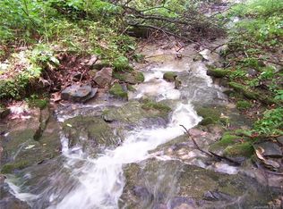 00 Slippery Rock Rd #124, Waynesville, NC 28785