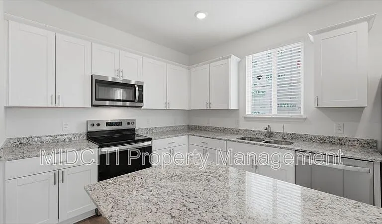 966 Bluegrass Point #NEW BRAUNFELS — Photo 3